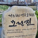 모전천 | [순유] 문경 벚꽃 개화시기, 문경 벚꽃 명소 추천