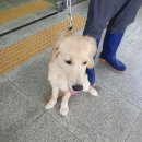 형곡동로 이미지