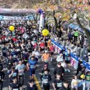 2024 대청호 벚꽃길 마라톤 대회 이미지