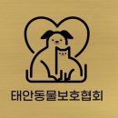 하얀둥지 펜션 반려견과의 첫 여행, 진짜 어땠을까?