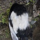 유성농장 4농장 이미지