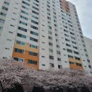 뉴동남공인중개사사무소 이미지