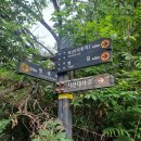 신흥교입구 이미지