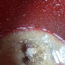 신광노인복지센터 이미지