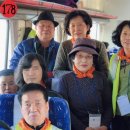 2014년11월16일 전주 전동성당 전신자 성지순례 이미지