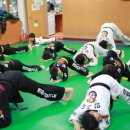 화랑 합기도 무무관 이미지