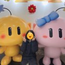 반짝이는 그루밍 하우스 | 3월 결산