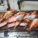 헬로민박 이미지