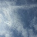 현기목장 이미지