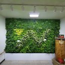 수직의 정원 이미지