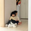 새롬 어린이집 | 성인 수족구 후기 (손 발 입 진짜 모든게 망신창이)