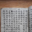 산호진주 이미지