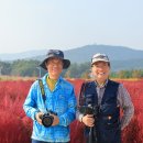 자라섬 및 양주 꽃축제 출사 이미지