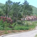 알프스관광펜션 이미지