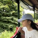 에코랜드 | 제주 에코랜드 아이와 방문 후기