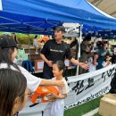 용인대 푸르미르 태권도 이미지