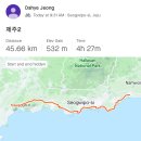 위미위드미게스트하우스