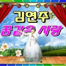 (주)펀집