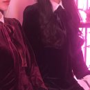 와이레더
