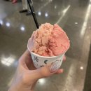 지니크네일