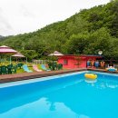 반디네허브 이미지