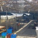 동명농장 이미지