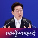 165 노컷뉴스