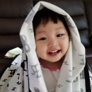 D00034 | 모던버랩) 이번엔 간절기용이닷!!