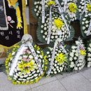 상남동279 이미지