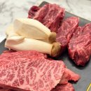 율이꼬치구이 | 포항 한우 소고기 맛집 추천 1++ 등급의 투뿔한우 화로구이 율