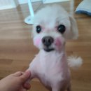 (주)아콩 이미지