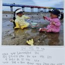 금부초교 강원일보