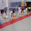 경희대 에이스 태권도장 이미지