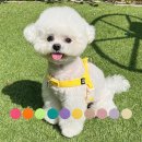 팔레트멍 이미지