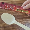 미어캣 | 김포앵무새카페 미어캣인더시티 고양이 미어캣 후기