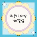 행복한고양이동물병원 이미지