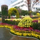 현대한마음회관 수영장 이미지