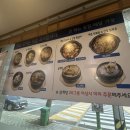 부산광역시 동구 조방로 16번길 | 부산문현동 범일동 매운갈비찜맛집추천::소우닭계[내돈내산]