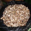 마륜농장 이미지