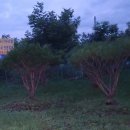 신송농장 이미지