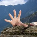 메시아농장 이미지