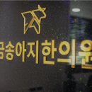 금송아지한의원 - 양천구 신정로13길 3 | 금송아지한의원