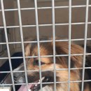 신기1길 이미지