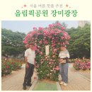 군포역광장공중화장실 | 🌹 6월, 서울 핫플레이스 올림픽공원 장미광장 다녀왔어요