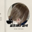 미스헤나 | 천연헤나 염색후기 셀프염색 방법 알려줄게