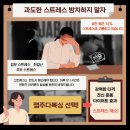 월포초등학교 | [월곶복싱][잽주다복싱] 스트레스 해소부터 다이어트까지, 현대인이 복싱을 해야 하는 이유🥊