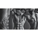 아르케 핏 이미지