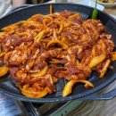 마산형제 이미지