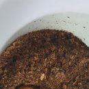 우화농장 이미지