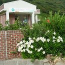 사리보건진료소 이미지